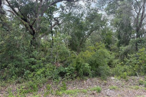 Terreno en venta en Webster, Florida № 1737011 - foto 1