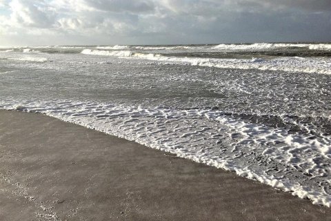 Condo in Longboat Key, Florida, 2 bedrooms  № 1784725 - photo 8