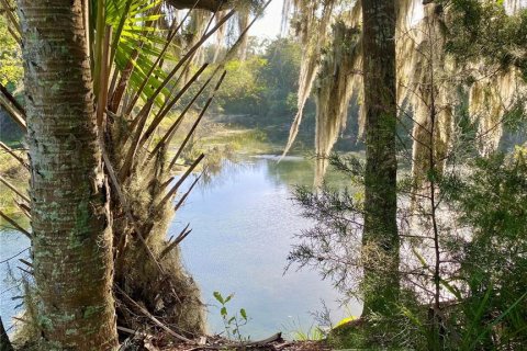 Terrain à vendre à Williston, Floride № 1876674 - photo 6