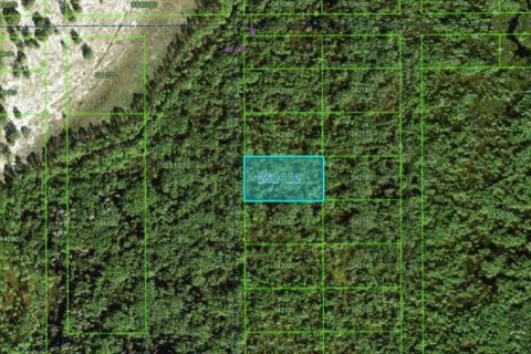 Terrain à Polk City, Floride № 2162225