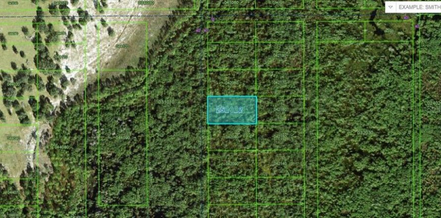 Terrain à Polk City, Floride № 2162225