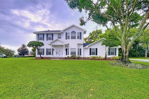 Villa ou maison à vendre à Lakeland, Floride: 4 chambres, 242.66 m2 № 1917702 - photo 1