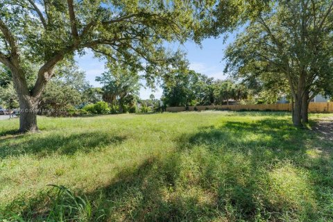 Terreno en venta en Saint Petersburg, Florida № 1950194 - foto 13