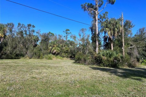 Land in Punta Gorda, Florida № 2163876 - photo 3