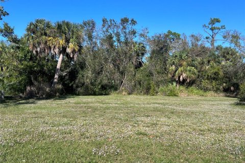 Land in Punta Gorda, Florida № 2163876 - photo 4