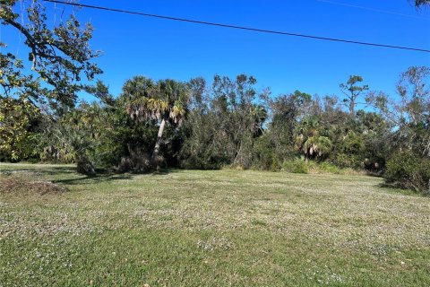 Land in Punta Gorda, Florida № 2163876