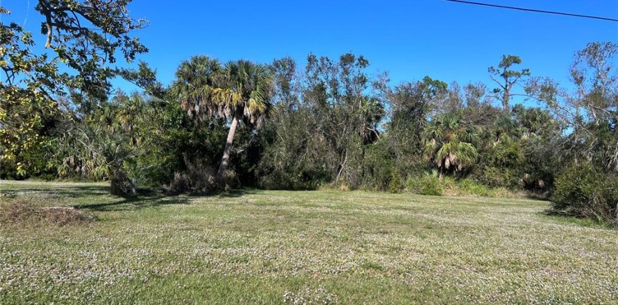 Land in Punta Gorda, Florida № 2163876