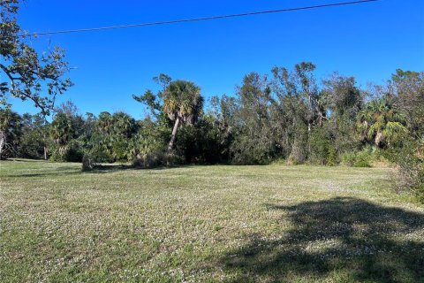 Land in Punta Gorda, Florida № 2163876 - photo 2