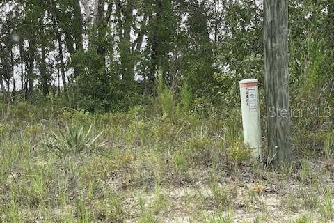 Land in Citrus Springs, Florida № 2161718