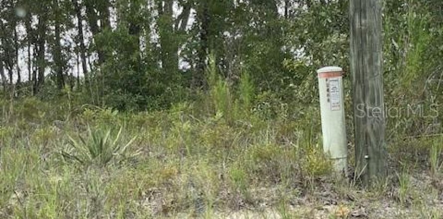Land in Citrus Springs, Florida № 2161718