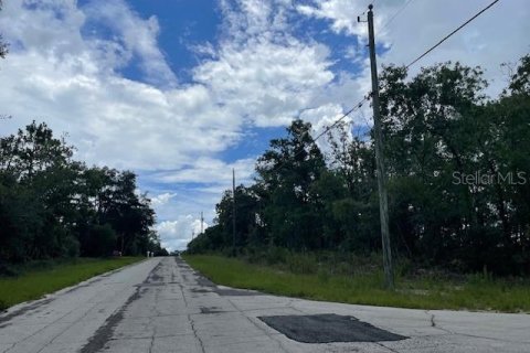 Land in Citrus Springs, Florida № 2161718 - photo 2
