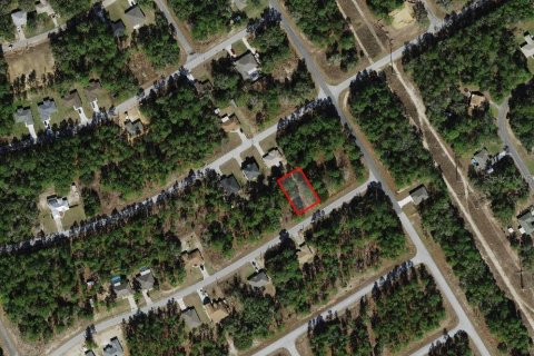Land in Citrus Springs, Florida № 2159628 - photo 2