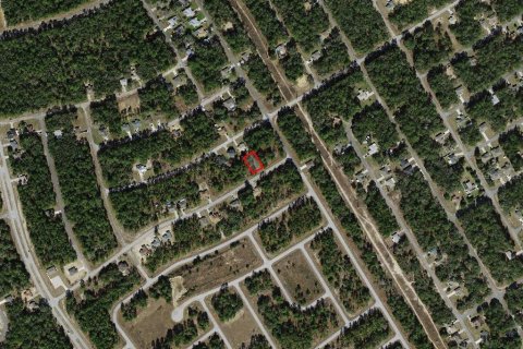 Land in Citrus Springs, Florida № 2159628 - photo 4