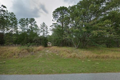 Land in Citrus Springs, Florida № 2159628 - photo 3