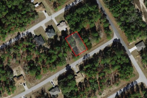 Land in Citrus Springs, Florida № 2159628