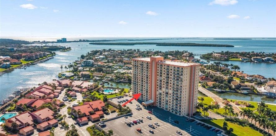 Condo à Saint Petersburg, Floride, 1 chambre № 2430444