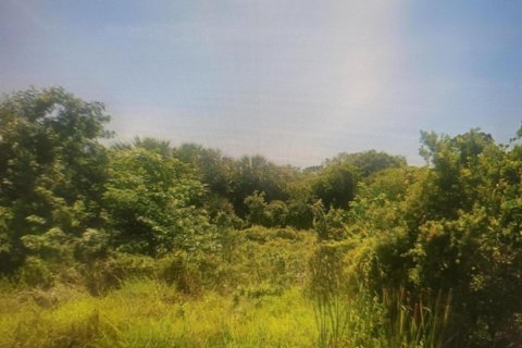 Land in Clewiston, Florida № 1207605 - photo 1