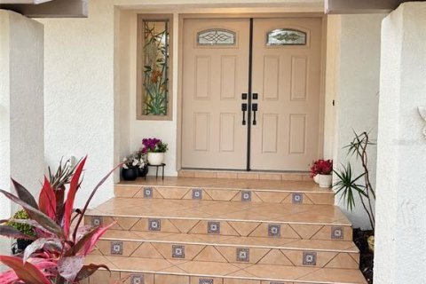 House in Tierra Verde, Florida 3 bedrooms, 192.4 sq.m. № 2351485 - photo 4