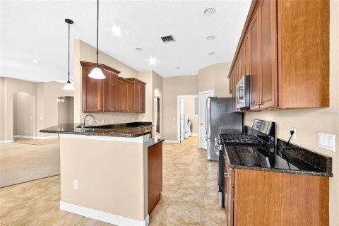 Villa ou maison à vendre à Thonotosassa, Floride: 3 chambres, 245.26 m2 № 2349460 - photo 20