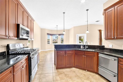 Villa ou maison à vendre à Thonotosassa, Floride: 3 chambres, 245.26 m2 № 2349460 - photo 18