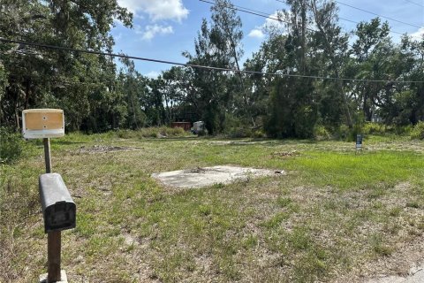 Land in Bradenton, Florida № 1746747 - photo 1