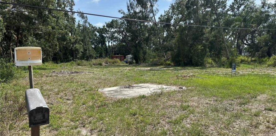Land in Bradenton, Florida № 1746747