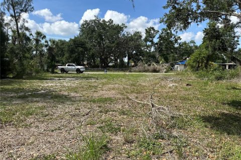 Land in Bradenton, Florida № 1746747 - photo 4