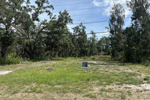Land in Bradenton, Florida № 1746747 - photo 2