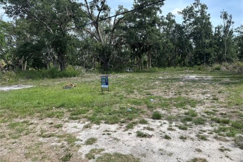 Land in Bradenton, Florida № 1746747 - photo 3