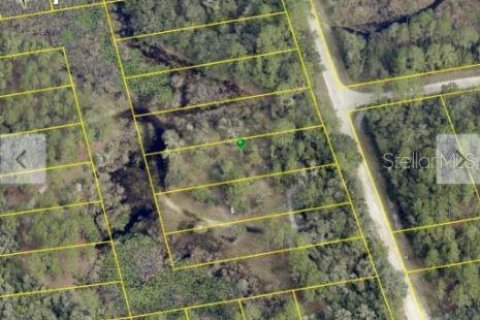 Land in Webster, Florida № 2163553 - photo 5