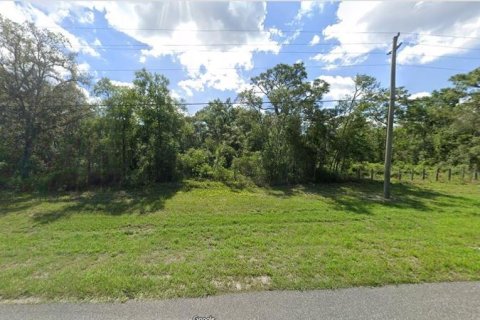 Land in Webster, Florida № 2163553 - photo 6