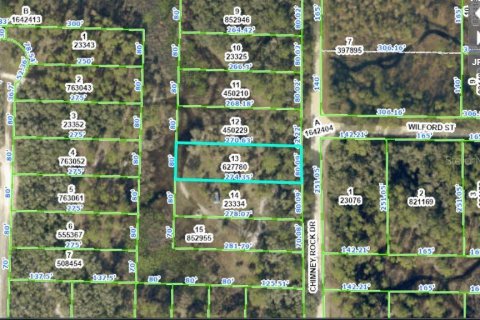 Land in Webster, Florida № 2163553