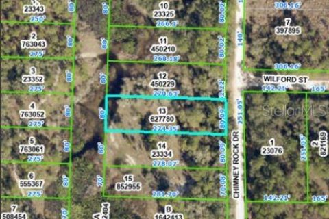 Land in Webster, Florida № 2163553 - photo 2