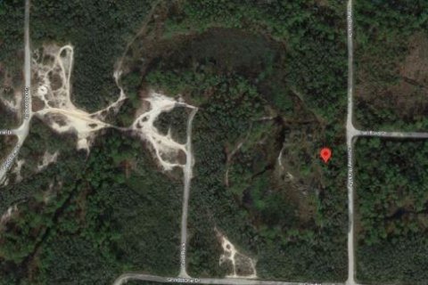 Land in Webster, Florida № 2163553 - photo 4