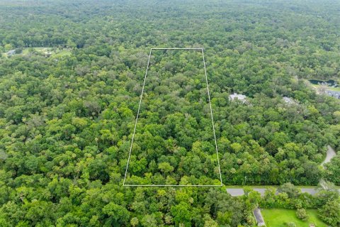 Terreno en Oviedo, Florida № 2259245