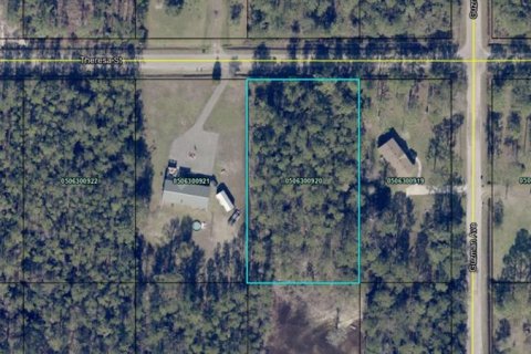 Land in Hastings, Florida № 1544578 - photo 14