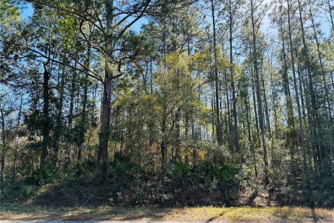 Land in Hastings, Florida № 1544578 - photo 13