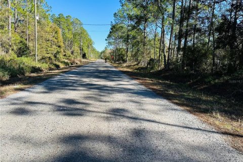 Land in Hastings, Florida № 1544578 - photo 2