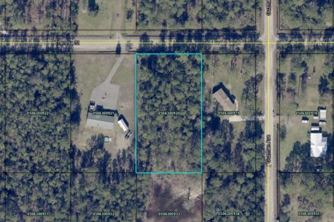 Land in Hastings, Florida № 1544578 - photo 17