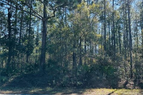 Land in Hastings, Florida № 1544578 - photo 6