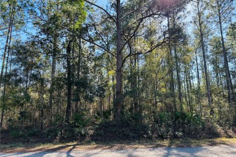 Land in Hastings, Florida № 1544578 - photo 8