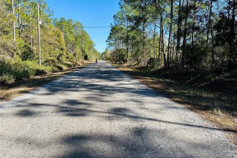 Land in Hastings, Florida № 1544578 - photo 5