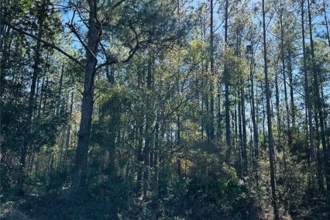 Land in Hastings, Florida № 1544578 - photo 18