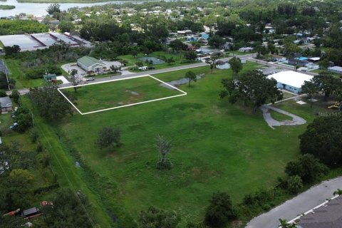 Land in Bradenton, Florida № 1824926 - photo 3