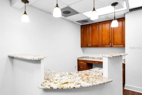 Propiedad comercial en alquiler en Saint Petersburg, Florida, 376.25 m2 № 1908570 - foto 21