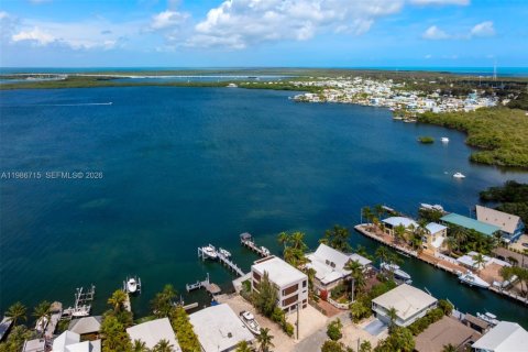 Купить виллу или дом в Ки-Ларго, Флорида 4 спальни, 308.9м2, № 2057790 - фото 14