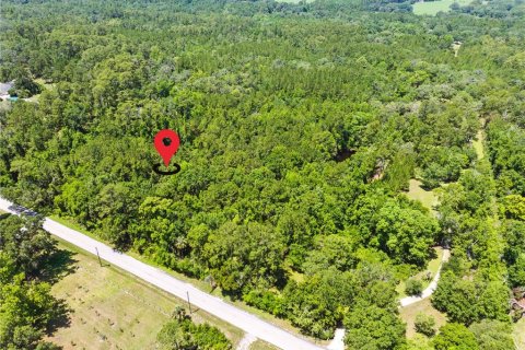 Land in Brooksville, Florida № 1725016 - photo 11