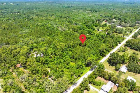 Land in Brooksville, Florida № 1725016 - photo 13