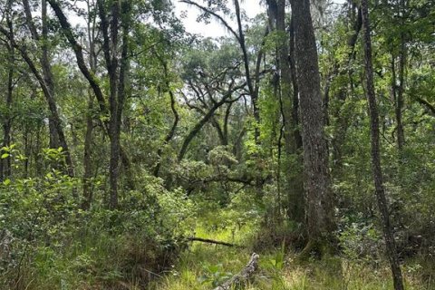 Land in Brooksville, Florida № 1725016 - photo 7