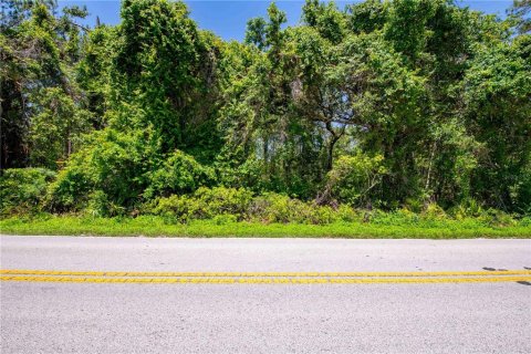 Land in Brooksville, Florida № 1725016 - photo 15